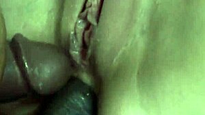 brunette amber rayne takes three big black cocks in double penetration gangbang with deepthroat and cumshots