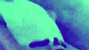 Hidden cam captures latina wife getting banged doggystyle in group session