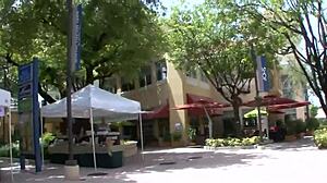 That immodest nymph feels addicted to vehement dick-riding and sucking cock