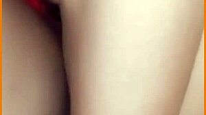 Hey, have you tried the streaming records lives apk and app for Brazilian and Colombian content?