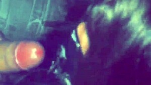 amateur shemale cassandra travesti gives oral pleasure to her client in this scene