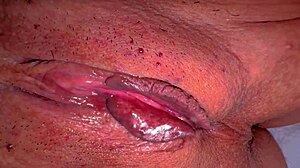 Amateur Pink Pussy Licked