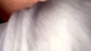 Why Does Step Sister And Big Step Brother Play Their Own Game With Missionary Fucking And Rough Anal?