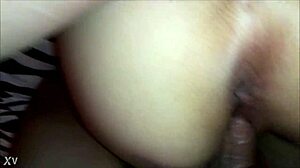 Follando a una perrita de la calle?