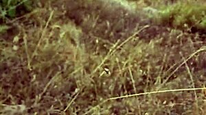 During her trip this petite amateur milf gives blowjob in nature outdoor setting with couple homemade fun