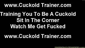 I Have a CRUEL CUCKOLD Session Planned for You. Get Ready for Intense Femdom and Bdsm Action.