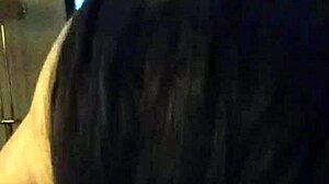 exploring english language basics through simple lessons and cultural insights for beginners