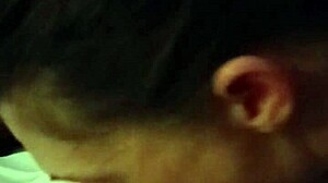 exploring english language basics through simple lessons and cultural insights for beginners