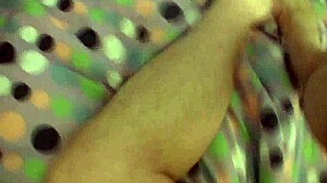 Bella Sinn 19-Year-Old Latina Gives Tight Pussy POV Blowjob in Stockings and Lingerie