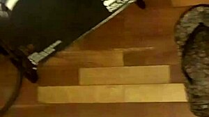 Video from December 16, 2017 at 11:24 PM with unique timestamp details