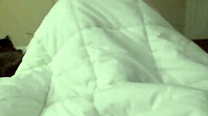 mtf asian redhead shemale transsexual trap impregnablelexa sucks dick deepthroat rides cowgirl until anal bareback creampie