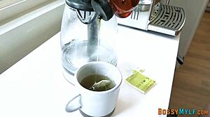 chubby lesbian cougar strapon fucked