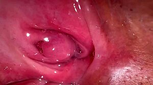 my amateur experience tracking pink area changes 172 days post first intimate moment