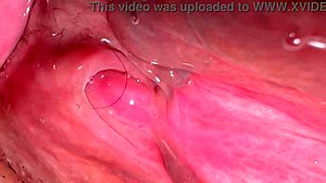 my amateur experience tracking pink area changes 172 days post first intimate moment