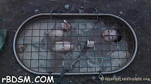 T Beauty's Fuck Holes Explored with Toys in Hardcore Bdsm Brunette Action