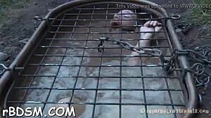 T Beauty's Fuck Holes Explored with Toys in Hardcore Bdsm Brunette Action