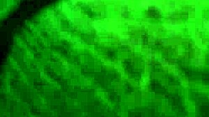 deecky rubs and assfucks rhema in intense anal session with close up ass details.