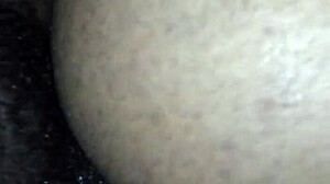 Bold Tranny Action In Transsexual Encounter