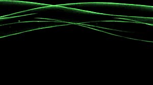 Asian In Bondage With 1mm Rubber Mask And Catsuit Bound Outdoors In Latex Fetish Scene