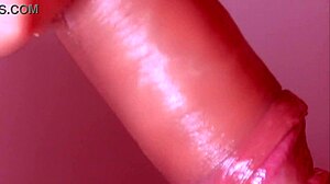 hey, check out my step brother returning for that amateur blowjob from his step sister