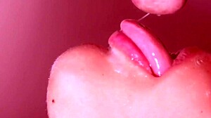 hey, check out my step brother returning for that amateur blowjob from his step sister