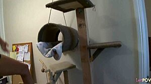 Stunning lesbians test sexual limits with toys in bed, enjoying fingering and muff diving on shaved pussies.