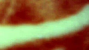 Indian Boy Fucking Hard Toys In Pussy