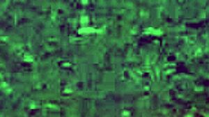 subtle hints of tight pussy in free sadomasochism videos