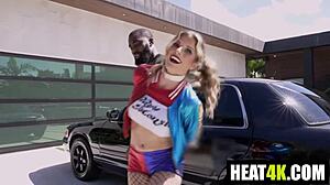 gotham clown chase vol 2 features harley quinn parody with cory chase ace bigs jodie johnson