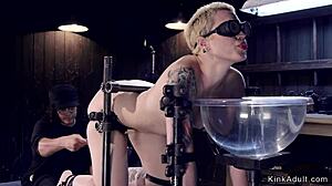 Blonde Bound In Doggy Position Endures Intense Caning