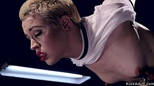 Blonde Bound In Doggy Position Endures Intense Caning