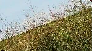 I feel so sexy as curvy argentinian wife in campo paseo