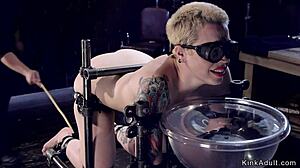 Blonde Bound In Doggy Position Endures Intense Caning