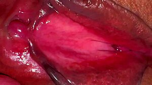 amateur pink pussy looks fresh 275 days post-virginity loss in close-up homemade clip