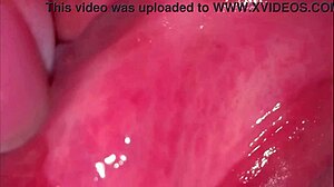 amateur pink pussy looks fresh 275 days post-virginity loss in close-up homemade clip