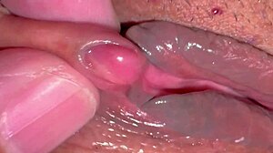 amateur pink pussy looks fresh 275 days post-virginity loss in close-up homemade clip