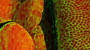 best doggy compilation from amateur couple with peaky brownies in lingerie