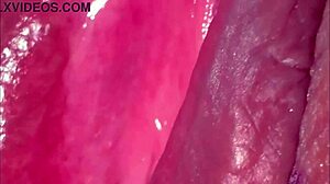 amateur pink pussy looks fresh 275 days post-virginity loss in close-up homemade clip