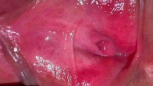 amateur pink pussy looks fresh 275 days post-virginity loss in close-up homemade clip