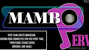 why is this slim exotic brazilian karina rose drinking pee first time then fucking three huge cocks with pissing dap?