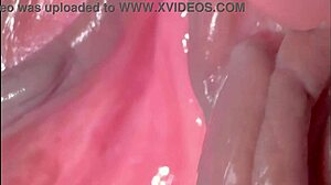 amateur pink pussy looks fresh 275 days post-virginity loss in close-up homemade clip