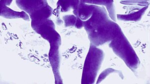 Vintage erotic drawings collection