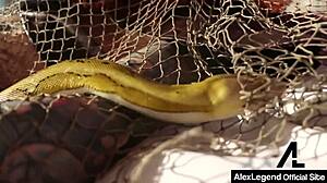 Minotaur Legend Got Ridden By Dominating Hottie Nicole Aniston