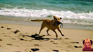 Lucys Beach Day Enf Video Story Ai Generated