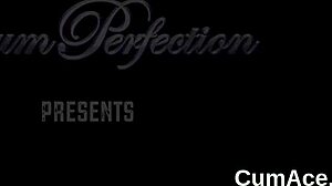 Slutty stunner blowjob bukkake cumshot facial handjob pov swallow