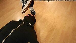 Why eat crumbs beneath my mistress vans sneakers