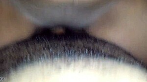 Dick Riding Stroke Daddy