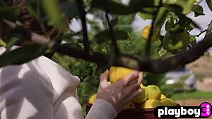 Perfect Big Ass Teen Model Hayli Sanders Strips Hot Skirt To Reveal Lingerie And Naked Body