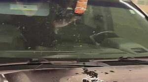 how does squirting all over memphis feel while fucking in doggystyle blowjob outdoor public with wet pussy flashing clothes ripped?