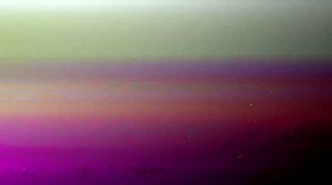 Big Tittied Milf Devours Kittens Cute Tight Pussy